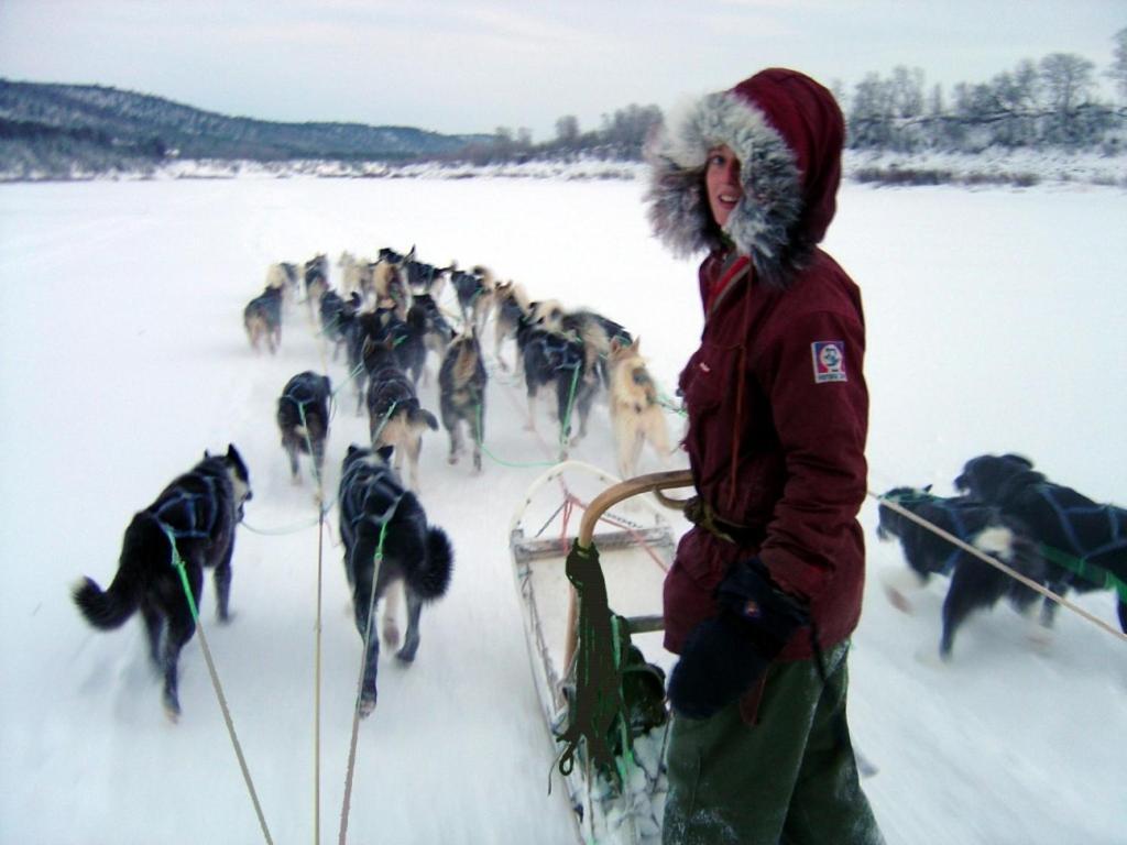 Engholm Husky Design Lodge Karasjok Dış mekan fotoğraf