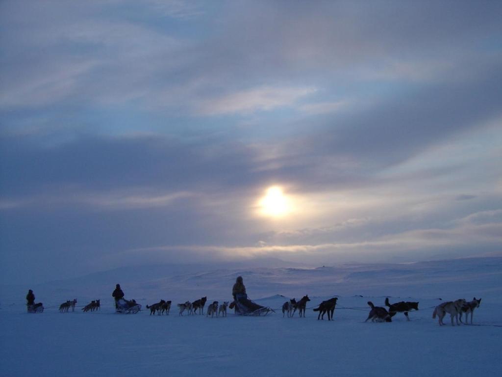 Engholm Husky Design Lodge Karasjok Dış mekan fotoğraf