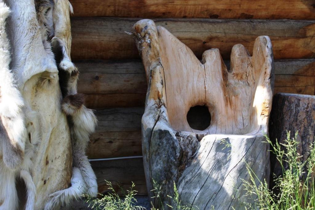 Engholm Husky Design Lodge Karasjok Dış mekan fotoğraf