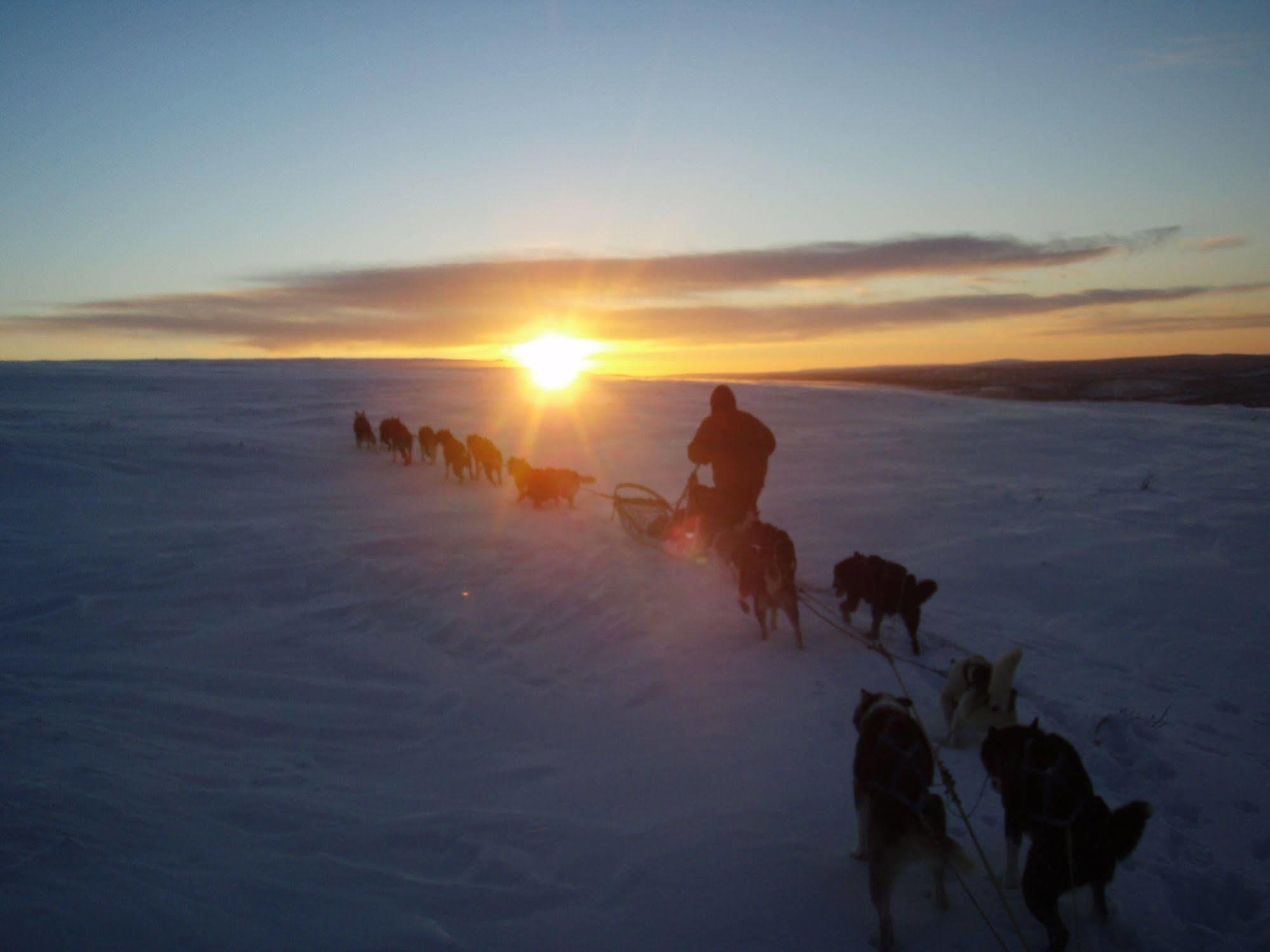 Engholm Husky Design Lodge Karasjok Dış mekan fotoğraf